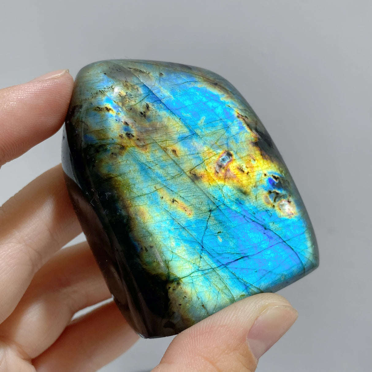 22 Pieces Polished Labradorite Free Form