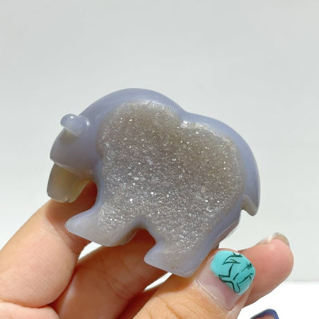 10 Pieces Beautiful Geode Druzy Agate Bear Carving - Wholesale Crystals