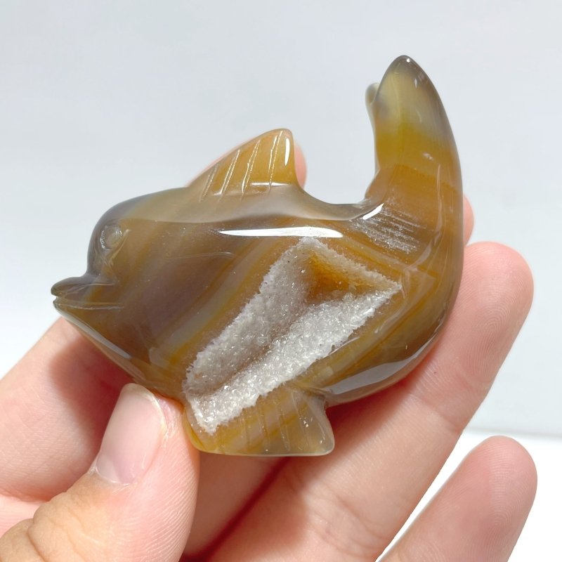10 pieces Small Geode Agate Druzy Dolphin Carving - Wholesale Crystals