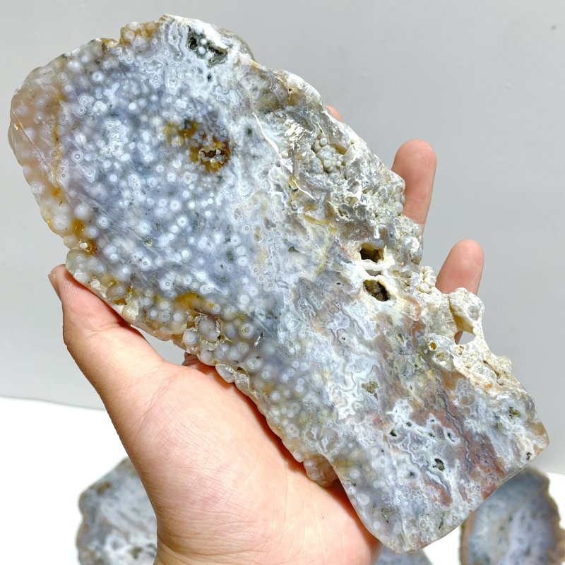11 Pieces 6th Vein Ocean Jasper Slab - Wholesale Crystals