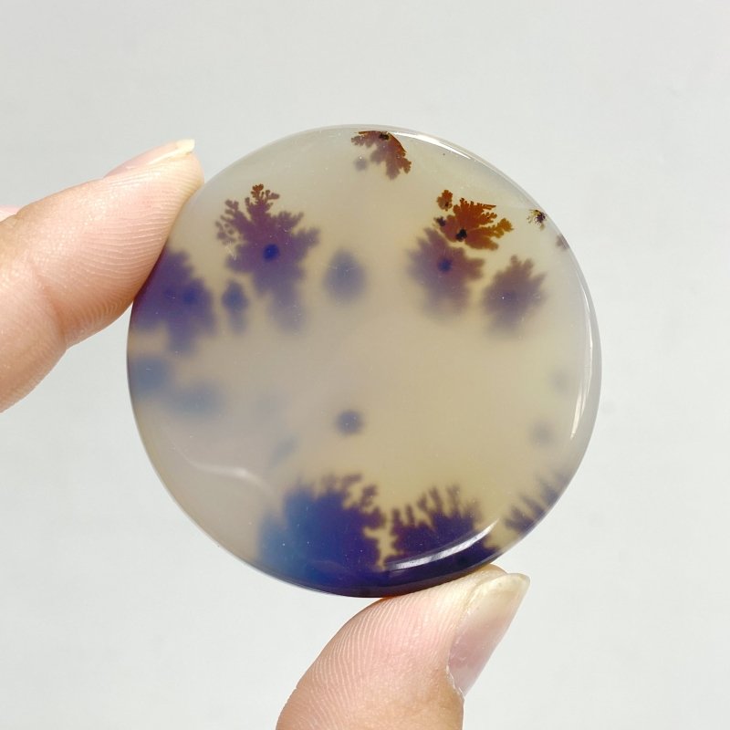 11 Pieces Natural Rare Scenic Dendritic Agate Stone -Wholesale Crystals