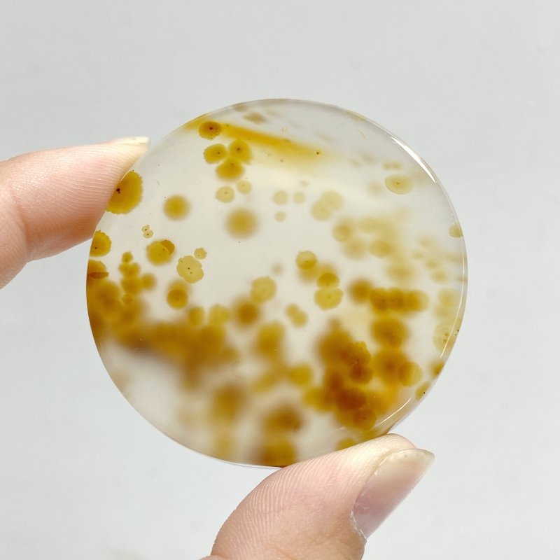 11 Pieces Natural Rare Scenic Dendritic Agate Stone -Wholesale Crystals