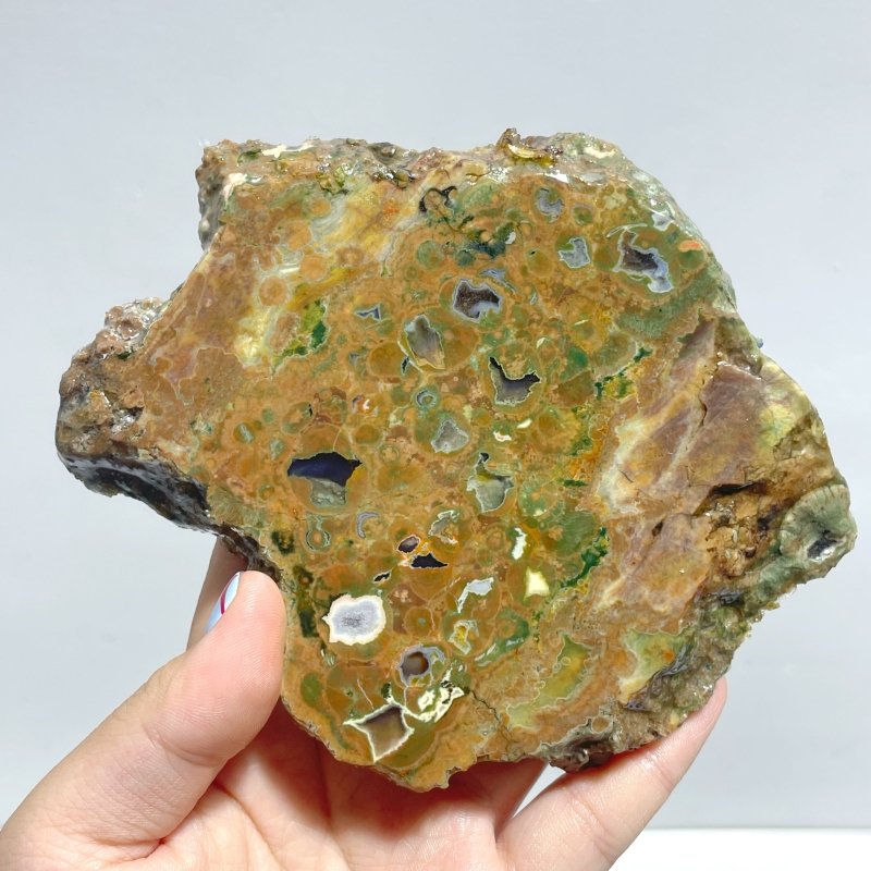 11 Pieces Peacock Eye Rain Forest Jasper Slab - Wholesale Crystals