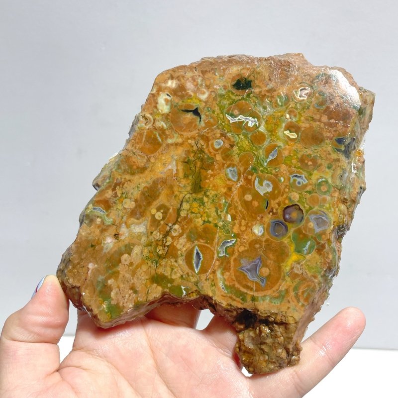 11 Pieces Peacock Eye Rain Forest Jasper Slab - Wholesale Crystals