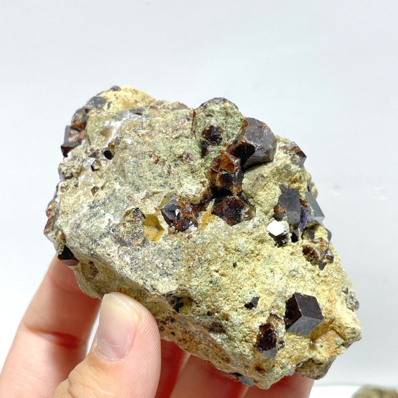 11 Pieces Raw Garnet Specimen For Collection - Wholesale Crystals