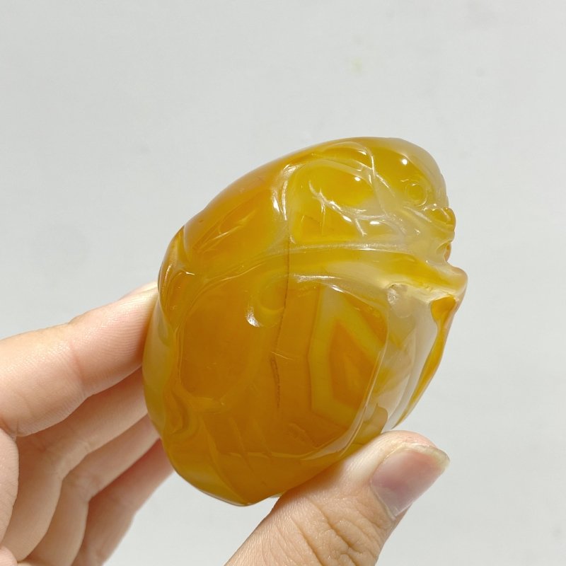 12 Pieces Beautiful Agate Tiger Carving - Wholesale Crystals