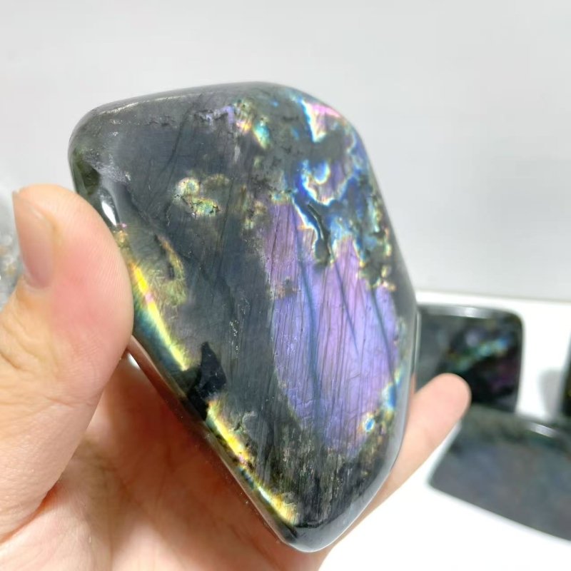 12 Pieces Large Beautiful Polished Purple Blue Labradorite Free Form - Wholesale Crystals