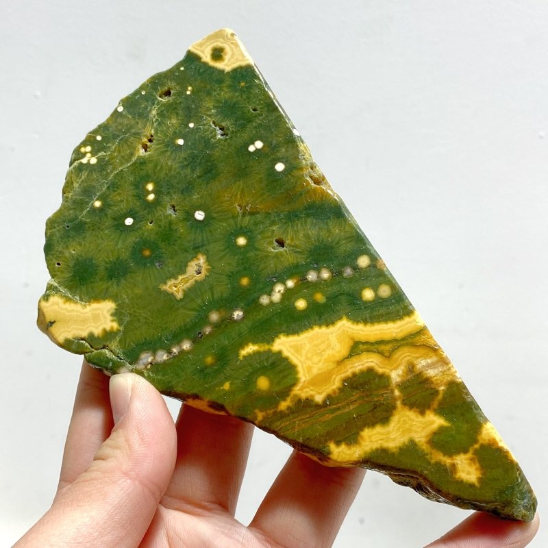 15 Pieces 8th Vein Ocean Jasper Slab - Wholesale Crystals