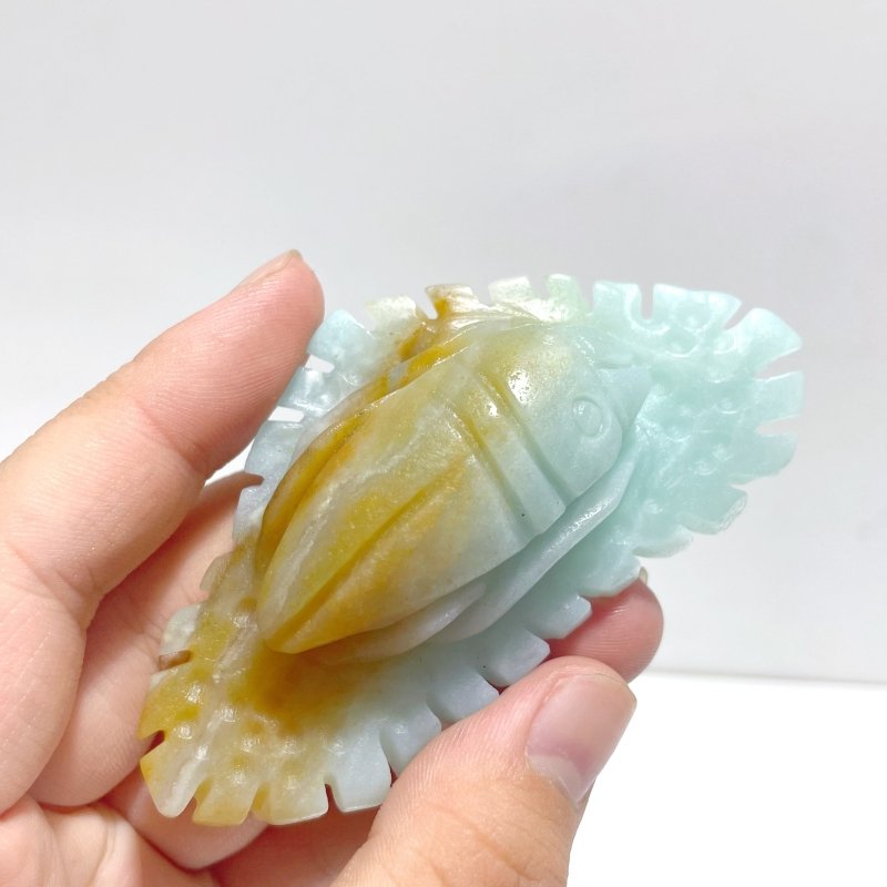 15 Pieces Caribbean Calcite Sea Animals Carving - Wholesale Crystals