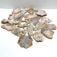 19 Pieces Sakura Flower Agate Slab - Wholesale Crystals