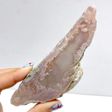 19 Pieces Sakura Flower Agate Slab - Wholesale Crystals