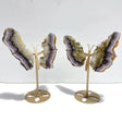 2 Pairs Fluorite Mixed Pyrite Butterfly Wing With Stand 1 - Wholesale Crystals