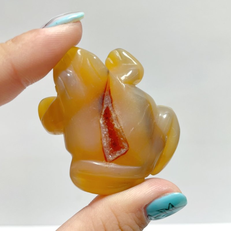 23 Pieces Geode Druzy Agate Frog Carving - Wholesale Crystals