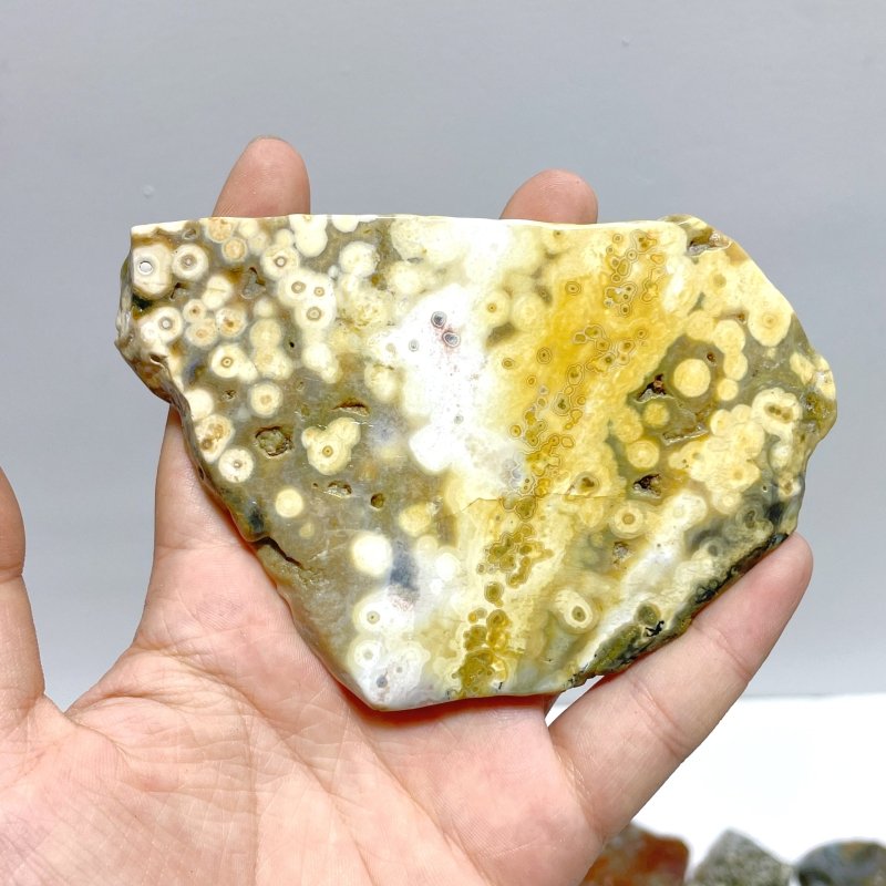 29 Pieces Beautiful 8th Vein Ocean Jasper Slab - Wholesale Crystals
