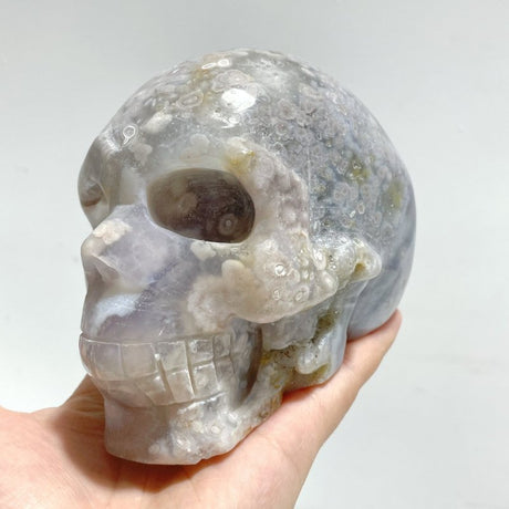 3 Pieces Large Sakura Flower Agate Skull Carving - Wholesale Crystals