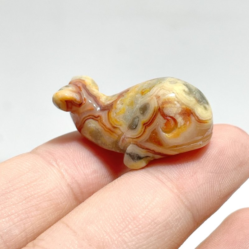 3 Types Whale carving Wholesale Crazy Agate Amazonite Moss Agate - Wholesale Crystals