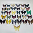 31 Pairs Rainbow Fluorite Butterfly Carving (A1BTF) - Wholesale Crystals