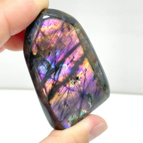 32 Pieces Beautiful Purple Blue Labradorite Free Form - Wholesale Crystals