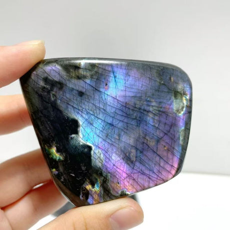 37 Pieces Beautiful High Quality Polished Purple Blue Labradorite Free Form - Wholesale Crystals