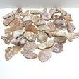 39 Pieces Sakura Flower Agate Slab - Wholesale Crystals