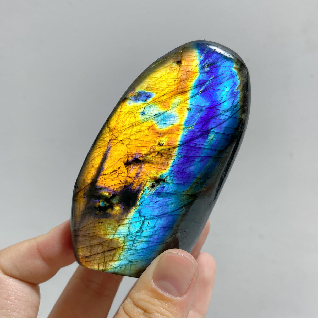18 Pieces Beautiful Polished Labradorite Free Form