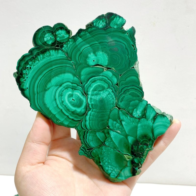 4 Pieces Large Polished Malachite Slab - Wholesale Crystals