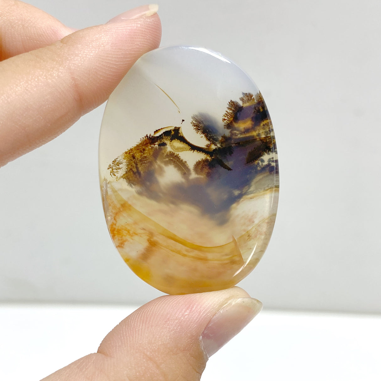 13 Pieces Natural Rare Scenic Dendritic Agate Stone