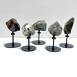 5 Pieces Beautiful Garden Quartz Free Form With Stand Home Decor - Wholesale Crystals