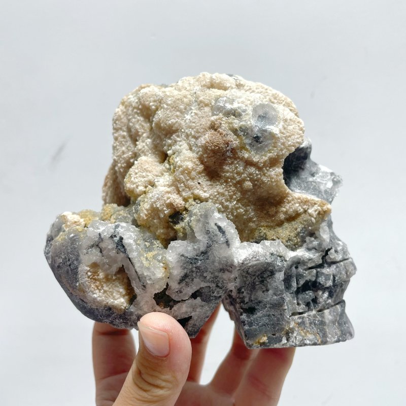 5 Pieces Druzy Geode Purple Fluorite Skull Carving - Wholesale Crystals