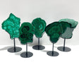 5 Pieces High Quality Malachite Specimen With Stand - Wholesale Crystals