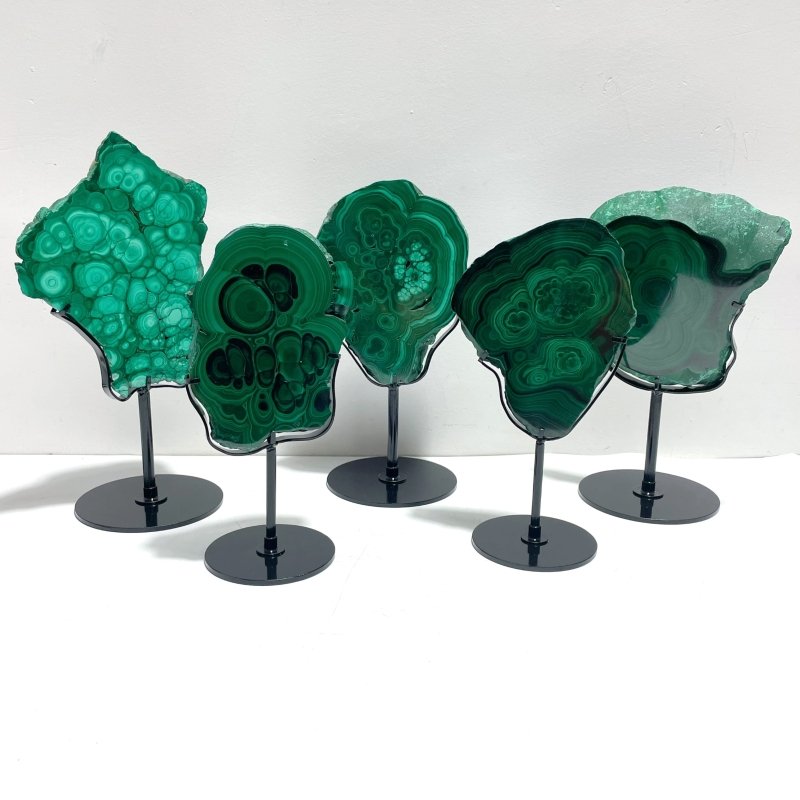 5 Pieces High Quality Malachite Specimen With Stand - Wholesale Crystals