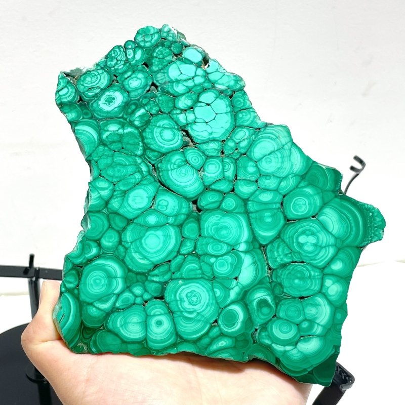 5 Pieces High Quality Malachite Specimen With Stand For Collection - Wholesale Crystals