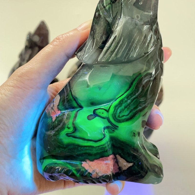 5 Pieces Large Volcanic Agate Wolf Carving(UV - Reactive) - Wholesale Crystals