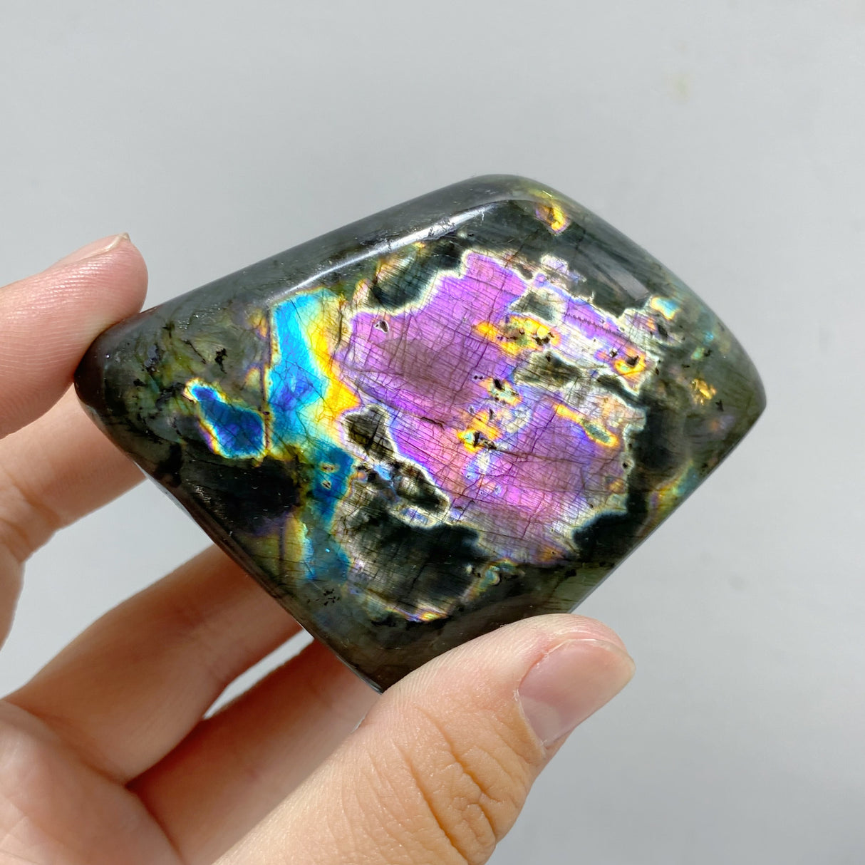 22 Pieces Polished Labradorite Free Form