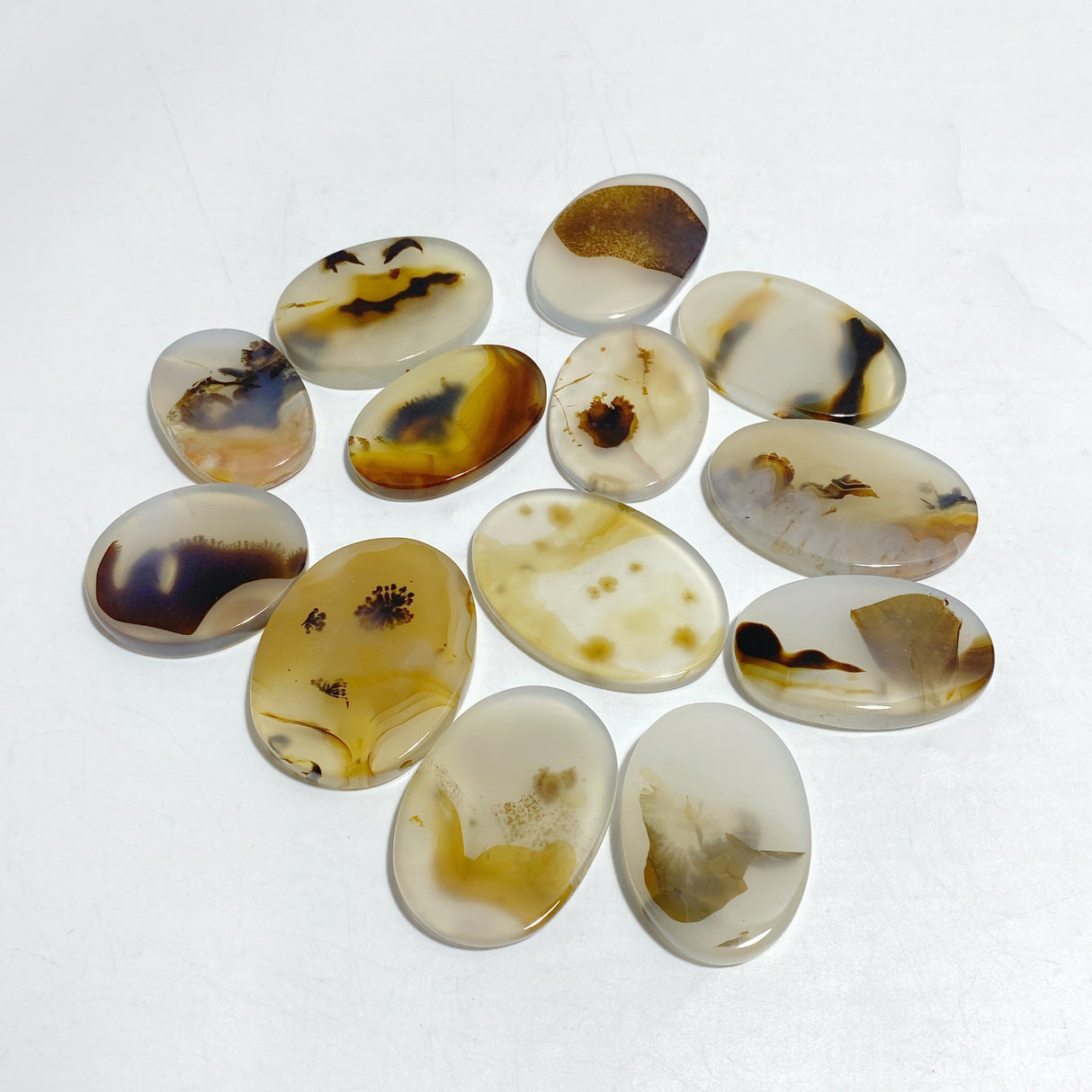 13 Pieces Natural Rare Scenic Dendritic Agate Stone