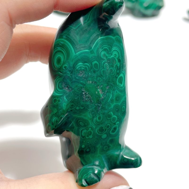 6 Pieces Malachite Sea Animals Carving - Wholesale Crystals