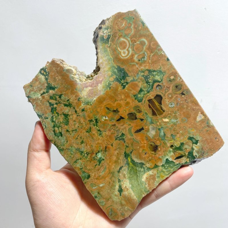 6 Pieces Peacock Eye Rain Forest Jasper Slab - Wholesale Crystals