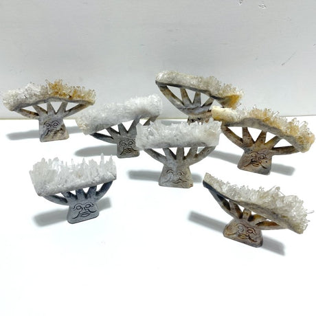 7 Pieces Clear Quartz Cluster Dendroid Guard Carving - Wholesale Crystals