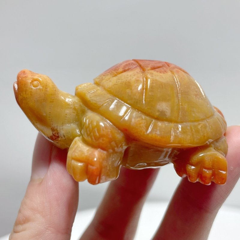 7 Pieces High Quality Coral Jade Turtle Carving #2 - Wholesale Crystals