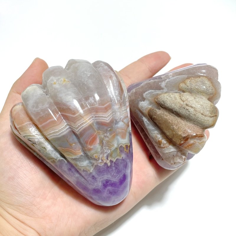8 Pieces Amethyst Mixed Stripe Agate Shell Carving - Wholesale Crystals