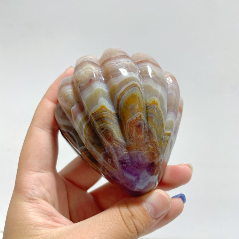 8 Pieces Amethyst Mixed Stripe Agate Shell Carving (Defect) - Wholesale Crystals