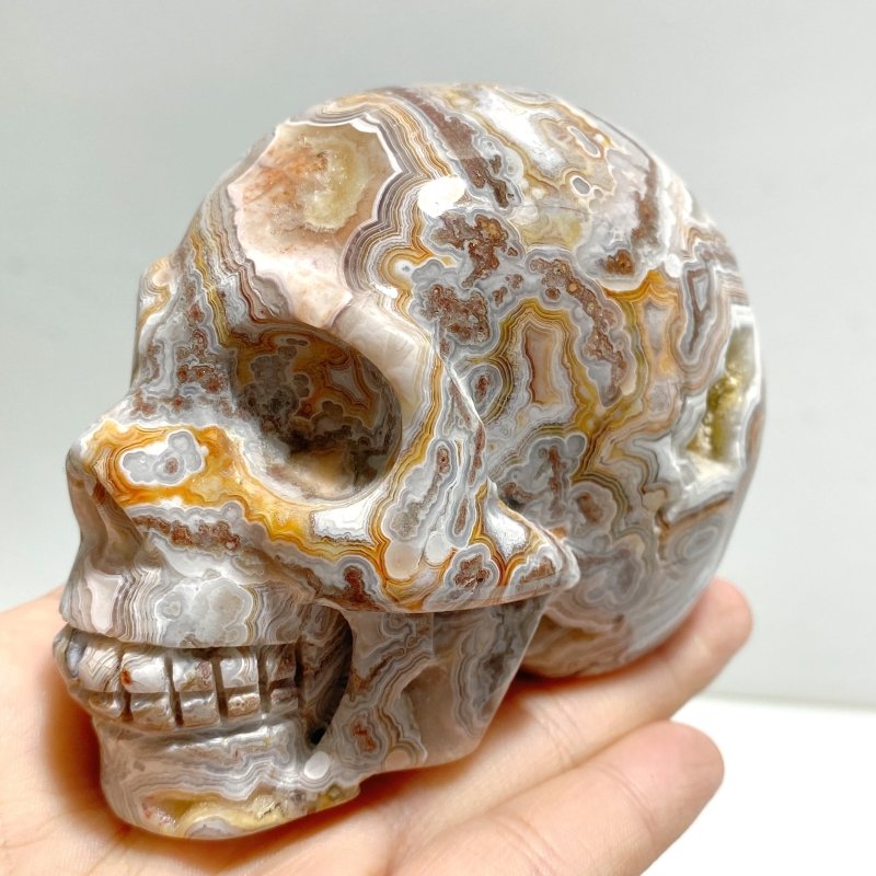 8 Pieces Geode Druzy Morocco Agate Skull Carving 1 - Wholesale Crystals