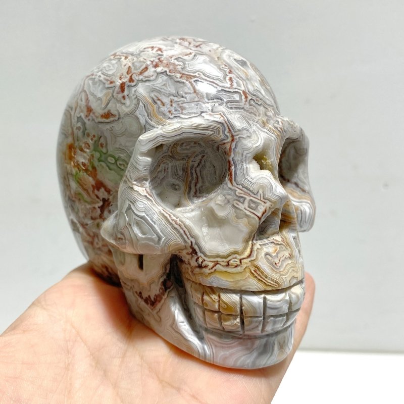 8 Pieces Geode Druzy Morocco Agate Skull Carving 1 - Wholesale Crystals