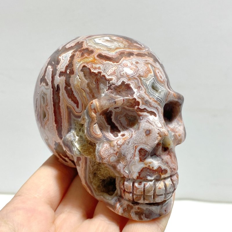 8 Pieces Geode Druzy Morocco Agate Skull Carving 2 - Wholesale Crystals