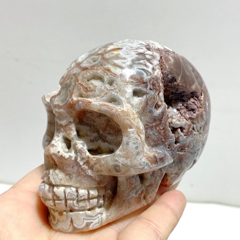 8 Pieces Geode Druzy Morocco Agate Skull Carving 2 - Wholesale Crystals