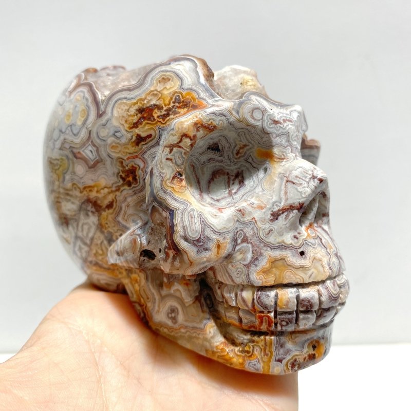 8 Pieces Geode Druzy Morocco Agate Skull Carving 4 - Wholesale Crystals