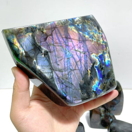 8 Pieces Large Beautiful Polished Purple Blue Labradorite Free Form - Wholesale Crystals