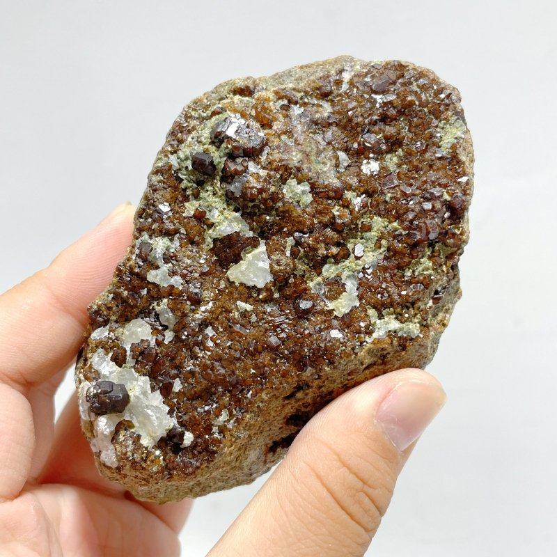 8 Pieces Raw Garnet Specimen 1 - Wholesale Crystals