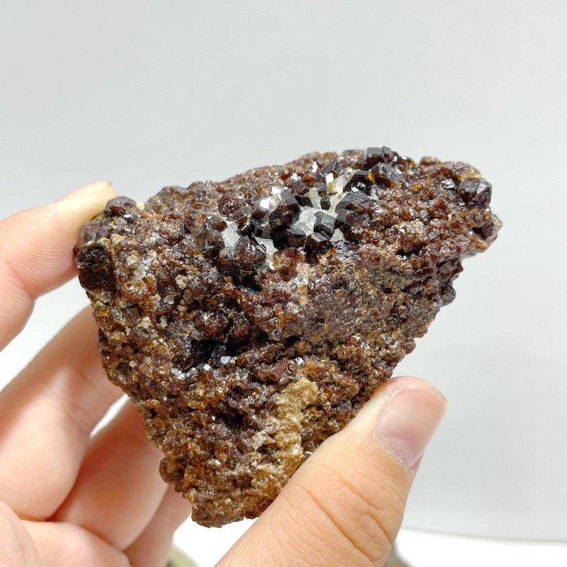 8 Pieces Raw Garnet Specimen 1 - Wholesale Crystals