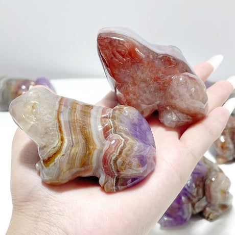 9 Pieces Amethyst Mixed Agate Frog Carving - Wholesale Crystals